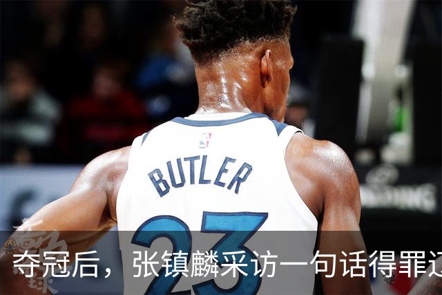 夺冠后，张镇麟采访一句话得罪辽宁，辽蜜：有本事到四川证明价值